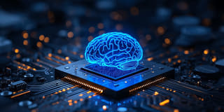 Long-term dedication — Prizantment platform built to remain stable for years